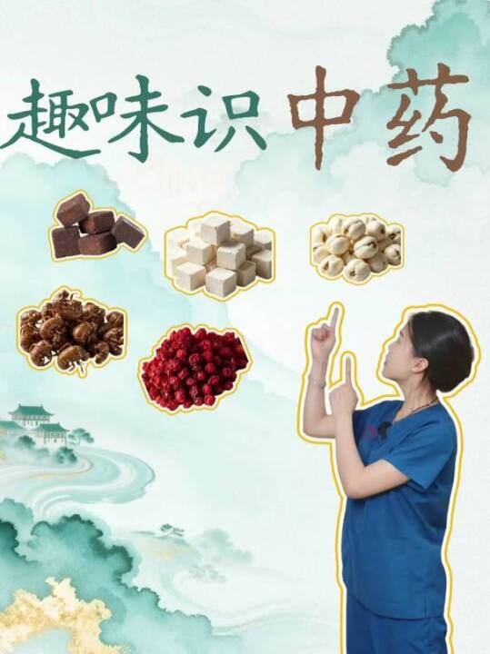  趣味识中药